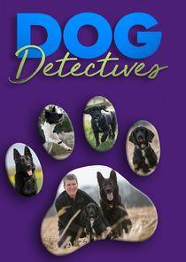 Dog Detectives