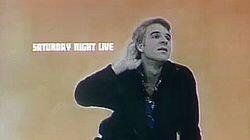 Steve Martin / The Nitty Gritty Dirty Band