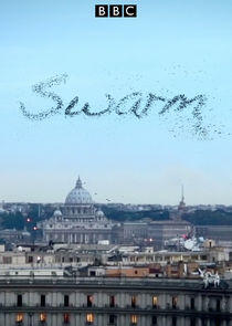 Swarm: Nature's Incredible Invasions