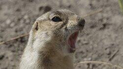 New Sheriff in Town New Sheriff in Town