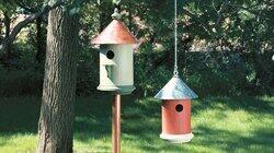 Bird House & Feeder