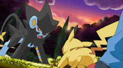 Luxray Vision