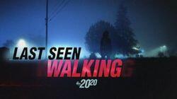 Last Seen Walking