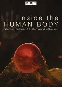 Inside the Human Body