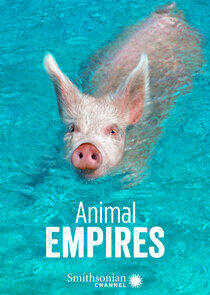 Animal Empires