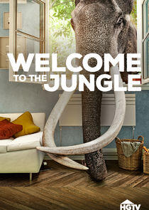 Welcome to the Jungle