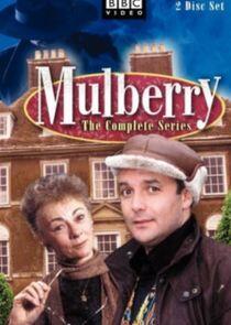 Mulberry