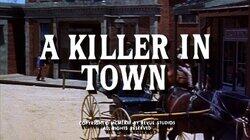 A Killer in Town A Killer in Town