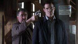 We All Fall Down We All Fall Down