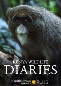 Kenya Wildlife Diaries