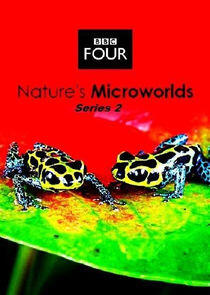 Nature's Microworlds - Season 2