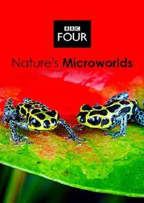 Nature's Microworlds - Season 1