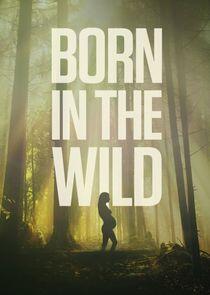 Born in the Wild