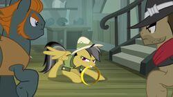 Daring Don't