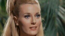 The Golden Cage The Golden Cage