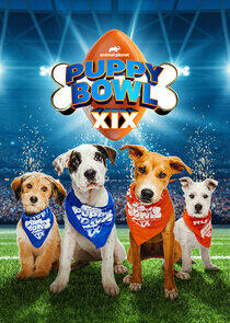 Puppy Bowl