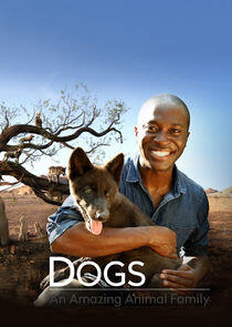 Dogs: An Amazing Animal Family - Season 1