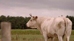 Boer zoekt toekomst