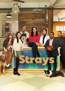 Strays