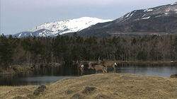 Early Spring on the Shiretoko Peninsula