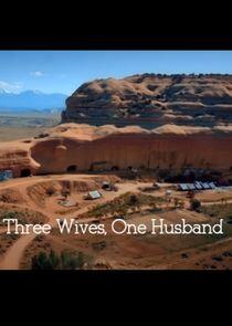 Three Wives, One Husband