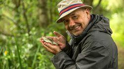 Crucian Carp: Great Somerford Lakes, Wiltshire