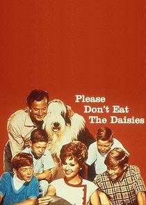 Please Don't Eat the Daisies