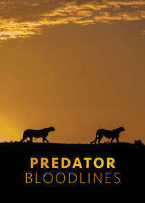 Predator Bloodlines