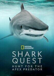 Shark Quest: Hunt For The Apex Predator Shark Quest: Hunt For The Apex Predator
