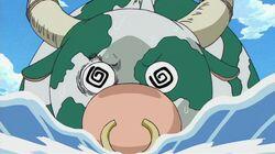 Usopp Dead?! When is Luffy Going to Make Landfall?!