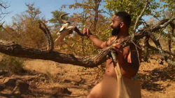 Max Pushed to the Max Max Pushed to the Max