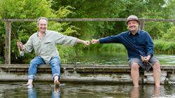 Brown Trout: River Test, Hampshire