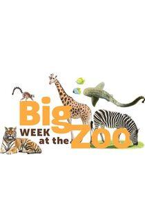 Big Week at the Zoo