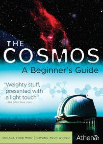 The Cosmos: A Beginner's Guide