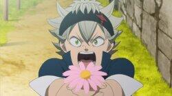 Asta and Yuno Asta and Yuno