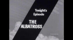 The Albatross The Albatross