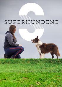 Superhundene