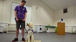 The U-Boat Captain and His VAT Con The U-Boat Captain and His VAT Con