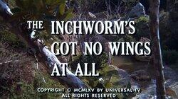 The Inchworm's Got No Wings at All The Inchworm's Got No Wings at All