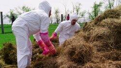 Manure Time Baby! Manure Time Baby!