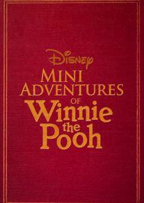 Mini Adventures of Winnie the Pooh