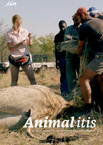 Animalitis