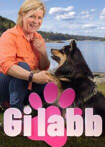 Gi labb