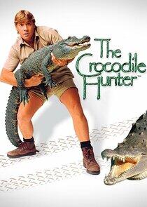 The Crocodile Hunter