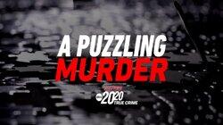 A Puzzling Murder