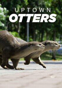 Uptown Otters - Season 1