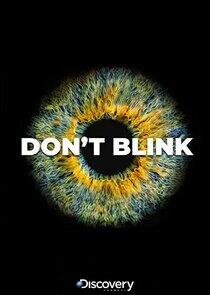 Don't Blink