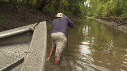 Gators in Low Places