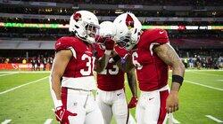 The Arizona Cardinals #7