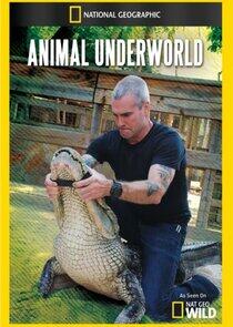 Animal Underworld - Season 1